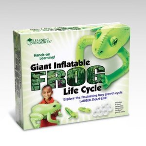 [러닝리소스] 개구리의 일생_Inflatable Frog Life Cycle ,edu1802