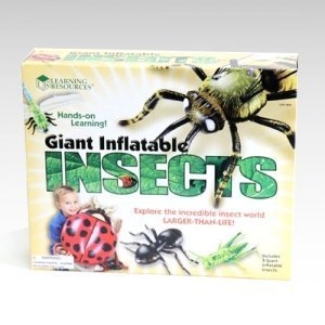 [EDU 1800] 곤충모형 Inflatable Insects 