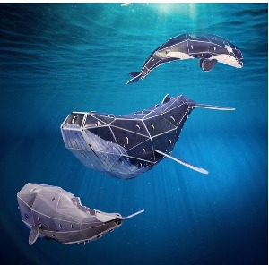 ae06 스콜라스 고래 만들기 1종 범고래 범고래모형 범고래만들기 학교용